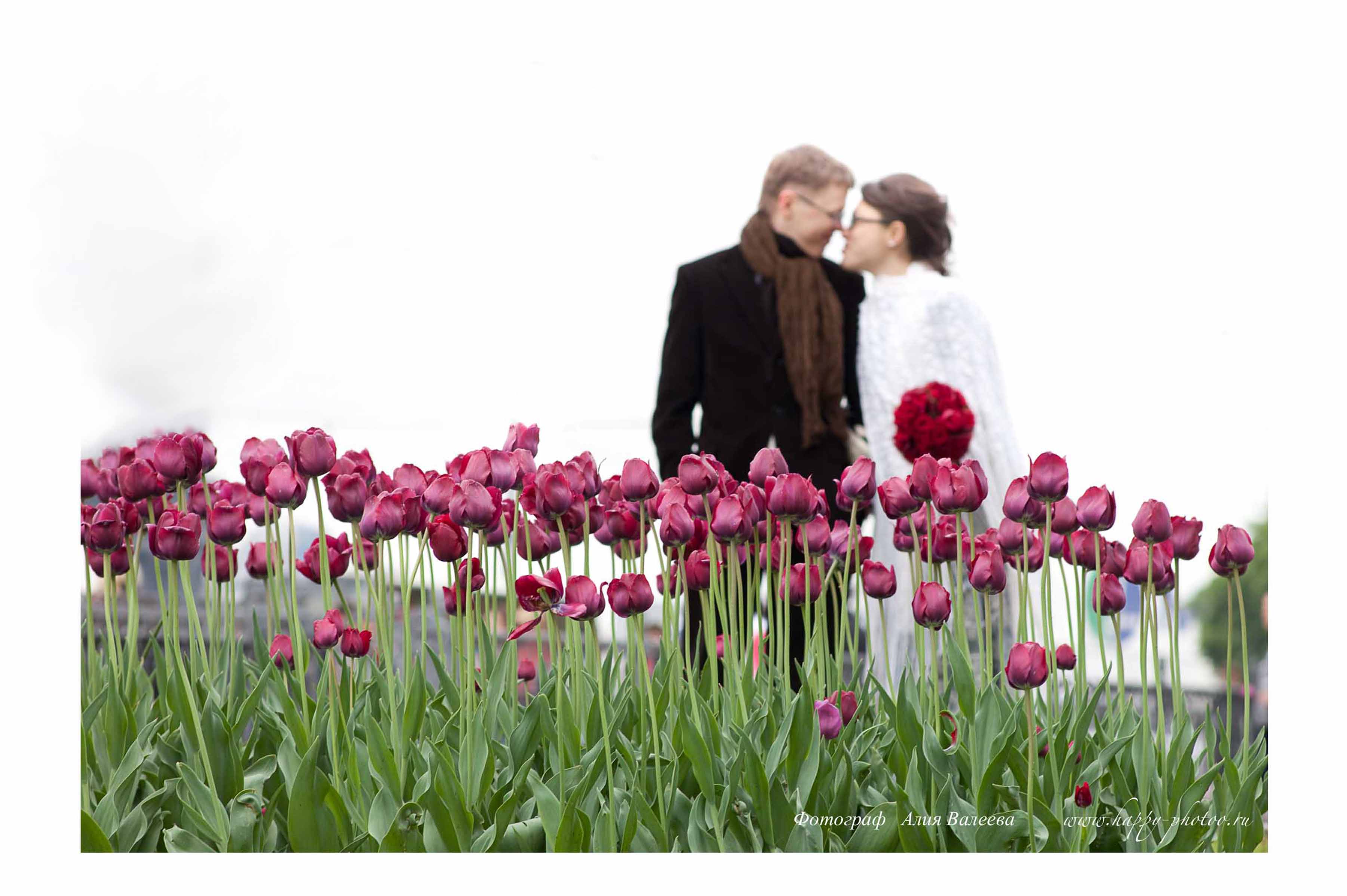 <strong>Свадьба весной фото . Весенняя свадьба фото</strong> . Фотограф Алия Валеева